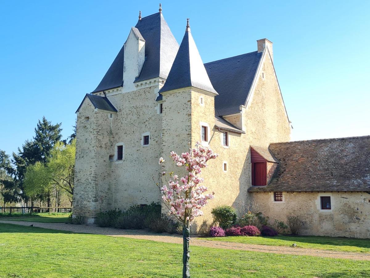 Manoir De La Beuneche - Location Du Manoir Entier Roeze-sur-Sarthe Экстерьер фото