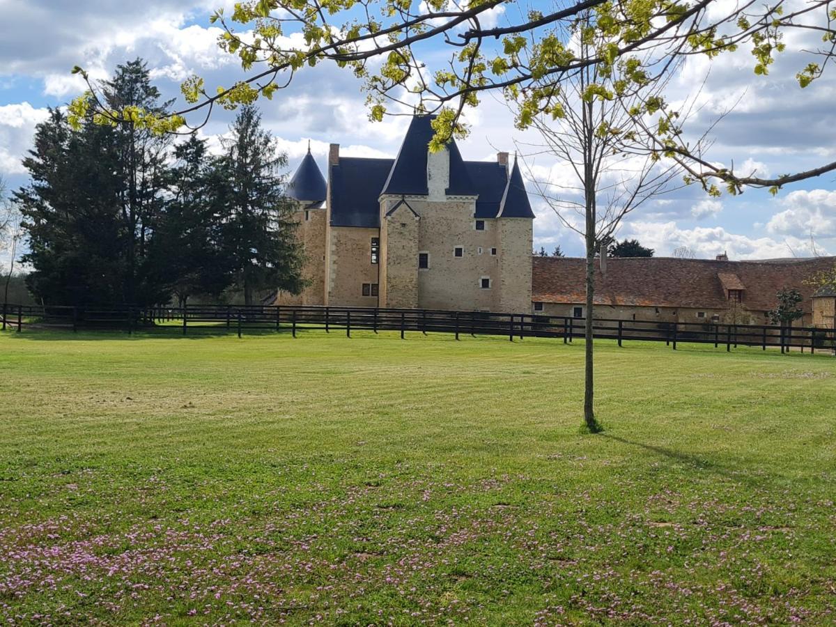 Manoir De La Beuneche - Location Du Manoir Entier Roeze-sur-Sarthe Экстерьер фото